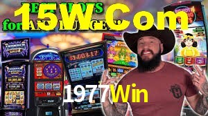 Programa VIP 1977Win