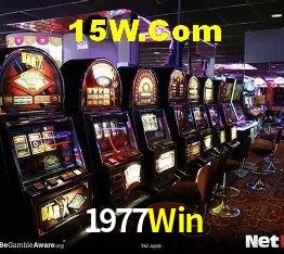 Programa VIP 1977Win